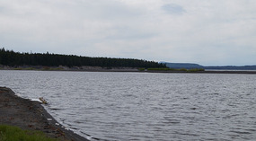 Yelowstone65