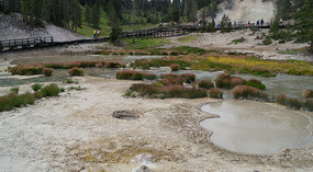 Yelowstone66