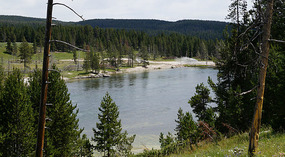 Yelowstone77