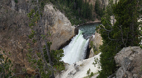 Yelowstone88