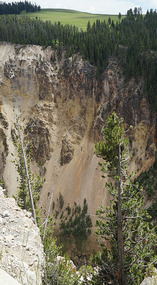 Yelowstone89