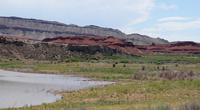 Bighorn1