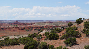 Bighorn11