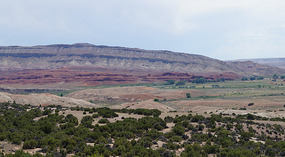 Bighorn12