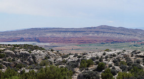 Bighorn6