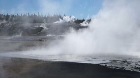 Video Yellowstone