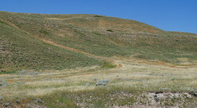 Wyoming1