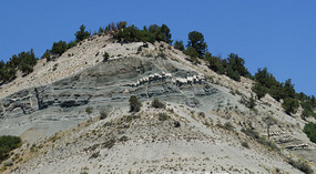 Weg nach Salt Lake21