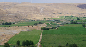 Snake River36