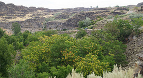 Snake River5