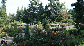 Washington Garden1