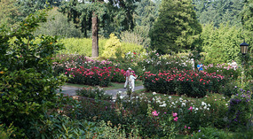 Washington Garden2