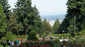 Washington Garden3