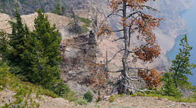 Crater Lake5