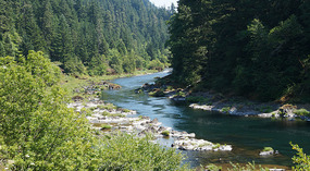 Umpqua River10