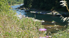 Umpqua River12