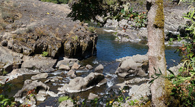 Umpqua River3