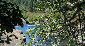 Umpqua River4