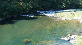 Umpqua River6