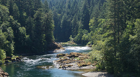 Umpqua River8
