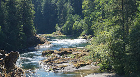 Umpqua River9