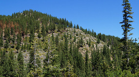 Lake Tahoe6