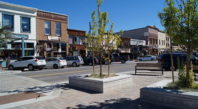 Trukee2