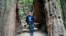 Muir Woods32