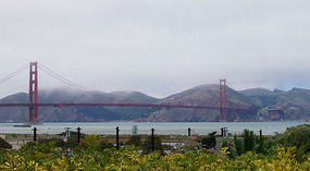 Golden Gate1