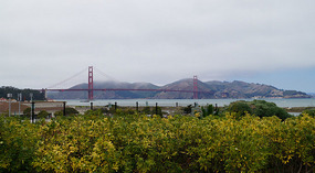 Golden Gate2