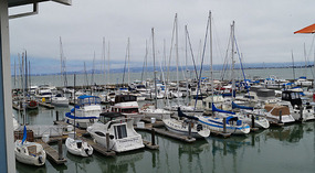 Pier3912