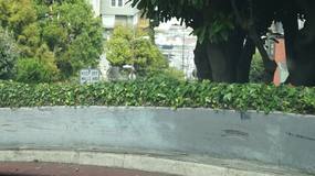 Video Lombard Street
