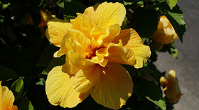 Carlsbad California11