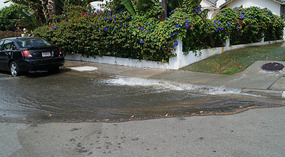 Carlsbad California3
