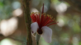 Botanical Garden18