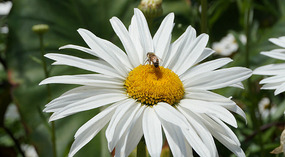 Botanical Garden19