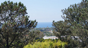 Botanical Garden28