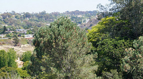 Botanical Garden29