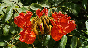 Botanical Garden30