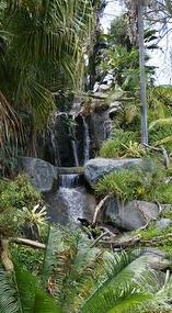 Botanical Garden31