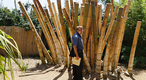 Botanical Garden4