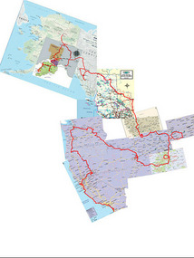 mit California 7