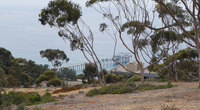 La Jolla1