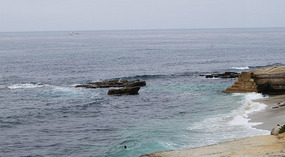 La Jolla11