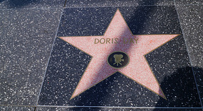 Hollywood5