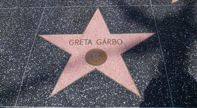 Hollywood8
