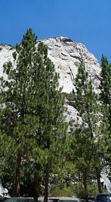 Kings Canyon12