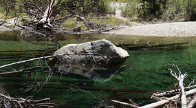 Kings Canyon15