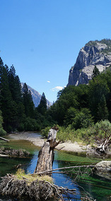 Kings Canyon16