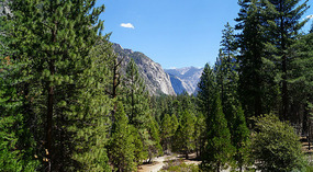 Kings Canyon23